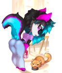  absurd_res annetpeas anthro bent_over blue_body blue_fur bowl butt canid canine canis clothed clothing container domestic_cat feeding felid feline felis female food_bowl fur hair hi_res long_hair mammal pet pet_bowl pink_body pink_eyes pink_fur smile solo wolf yozora 