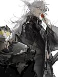  2boys animal_ears arknights bangs black_coat black_nails capone_(arknights) clenched_teeth coat cowboy_shot flower furry furry_male gambino_(arknights) grey_eyes grey_hair headpat highres holding holding_flower lappland_(arknights) long_hair long_sleeves multiple_boys naijiaer nail_polish open_mouth parted_lips red_flower sharp_teeth simple_background sunglasses sweatdrop teeth tulip upper_teeth very_long_hair white_background wide_sleeves wolf_ears yellow-framed_eyewear 