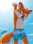  2022 anthro blue_bottomwear blue_clothing blue_shorts bottomwear canid canine clothed clothing dated fox fur hi_res lucky_the_fox male mammal sagadreams shorts signature solo super_lucky&#039;s_tale swimming swimming_trunks swimwear topless topless_anthro topless_male wet 