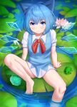  1girl absurdres bangs barefoot blue_bow blue_dress blue_eyes blue_hair bow cirno closed_mouth dress hair_bow highres ice ice_wings lily_pad looking_at_viewer masamika10086 puffy_short_sleeves puffy_sleeves red_ribbon ribbon short_hair short_sleeves sitting solo touhou wings 