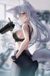  1girl animal_ears ass bare_arms bare_shoulders black_gloves black_pants blurry breasts cowboy_shot crop_top depth_of_field eyepatch fingerless_gloves fox_ears fox_girl fox_tail from_side gloves grey_hair highres holding kawachi_rin long_hair looking_at_viewer looking_to_the_side medium_breasts midriff open_mouth original pants red_eyes sideboob sleeveless solo sports_bra standing sweatdrop tail tail_through_clothes tumbler v-shaped_eyebrows yoga_pants 
