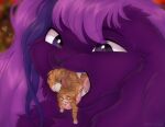  &lt;3 &lt;3_eyes ambiguous_gender anthro blush chibichuuwu digital_media_(artwork) domestic_cat duo felid feline felis feral floppy_ears fluffy fur hair lagomorph leporid liozn_the_spacebun long_hair male male/male mammal open_mouth oral_vore purple_body purple_fur purple_hair rabbit shy size_difference soft_vore teasing teeth tongue tongue_out vore whiskers 