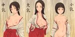  blush breasts brown_hair bust_chart copyright_request flat_chest honoji japanese_clothes long_hair medium_breasts miko multiple_girls nipples nude open_clothes open_shirt ponytail shirt short_hair small_breasts translated yellow_eyes 