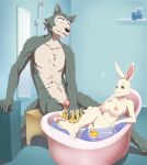  2022 5_fingers 5_toes anthro areola assisted_bathing bath bathing bathroom bathtub beastars big_breasts black_nose breasts butt canid canine canis claws convenient_censorship digital_media_(artwork) domestic_rabbit duo dwarf_rabbit fangs feet female finger_claws fingers fur genitals grey_body grey_fur haru_(beastars) hi_res humanoid_feet humanoid_hands interspecies lagomorph larger_male legoshi_(beastars) leporid loofah male male/female mammal nipples nude oryctolagus penis pink_areola pink_nipples predator/prey rabbit rubber_duck size_difference smaller_female smile teeth toes tommysamash water white_body white_fur wolf 