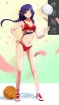  1girl ;) absurdres ass_visible_through_thighs bakemonogatari bandaged_arm bandages bare_arms basketball bikini breasts brown_eyes cleavage collarbone floating_hair full_body grin hair_ribbon hand_on_hip highres jub_jub kanbaru_suruga long_hair low_twintails monogatari_(series) navel one_eye_closed parted_lips petals purple_hair red_bikini red_ribbon ribbon shiny shiny_skin small_breasts smile socks solo sports_bikini standing swimsuit twintails very_long_hair volleyball 