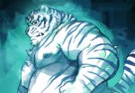  2022 anthro belly big_belly felid humanoid_hands kemono kita_9999 male mammal moobs nipples overweight overweight_male pantherine solo tiger white_body 