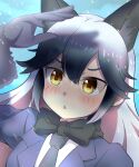  1girl animal_costume animal_ear_fluff animal_ears black_bow black_bowtie black_gloves blazer blush bow bowtie fox_ears fox_girl gloves grey_hair highres jacket kemono_friends kisaragi_koushi long_hair necktie open_mouth shirt silver_fox_(kemono_friends) simple_background solo standing yellow_eyes 