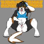  ahegao andromorph anothermeekone anthro australian_shepherd axel_(axeltheaussie) black_body black_fur bodily_fluids canid canine canis chubby_anthro clothing dialogue domestic_dog drooling edging fingering fur genital_fluids gooning headphones herding_dog hi_res hypnosis hypnotic_eyes intersex looking_pleasured mammal masturbation mind_control nonbinary_(lore) orange_body orange_fur pastoral_dog pussy_juice saliva sheepdog shirt solo solo_focus sweat tank_top tongue tongue_out topwear vaginal vaginal_fingering white_body white_fur 