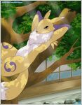  ambiguous_gender anthro bandai_namco carnival-tricks chest_tuft cushypen digimon digimon_(species) hands_behind_head hi_res light lying on_back plant relaxing renamon rock shadow solo sunlight tree tuft watermark windows_(disambiguation) 