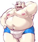  12beat13 2022 anthro belly big_belly blush bulge clothing eyes_closed eyewear glasses hi_res kemono male mammal mature_male moobs navel nipples open_mouth overweight overweight_male polar_bear simple_background solo underwear ursid ursine yawn 