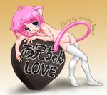  animal_ears blue_eyes blush cat_ears chocolate full_body happy_valentine himadarou nude original pink_hair pussy short_hair solo tail thighhighs valentine 