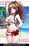  .live 1girl absurdres alternate_costume alternate_hairstyle beach blue_eyes breasts brown_hair character_name cleavage collarbone commentary_request highres kakyouin_chieri large_breasts navel ocean sky smile solo virtual_youtuber zebrablack 