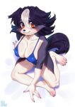  4_fingers 4_toes anthro aruurara big_breasts bikini black_body black_fur black_hair black_nose blue_bikini blue_clothing blue_swimwear breasts brown_eyes canid canine canis chloe_(aruurara) claws clothed clothing digital_media_(artwork) domestic_dog feet female fingers fur hair hi_res kemono looking_at_viewer mammal multicolored_body multicolored_fur shaded shadow simple_background sitting skimpy smile solo swimwear toe_claws toes white_background white_body white_fur 