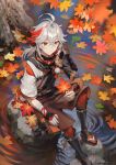  1boy autumn_leaves bangs black_footwear blurry blurry_foreground brown_shorts closed_mouth commentary day depth_of_field english_commentary genshin_impact grey_hair hair_between_eyes highres holding holding_leaf kaedehara_kazuha knee_up leaf male_focus maple_leaf multicolored_hair outdoors red_eyes red_hair ripples rock short_sleeves shorts sitting smile solo streaked_hair sunako_(veera) twitter_username water 