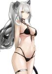  1girl absurdres animal_ears arknights bangs bare_shoulders black_bra bra breasts cat_ears cat_tail chinese_commentary commentary cowboy_shot criss-cross_halter feixiangdeguoli grey_choker grey_hair groin halterneck highres large_breasts long_hair navel o-ring ponytail schwarz_(arknights) simple_background solo standing stomach tail thigh_strap thighs underwear very_long_hair white_background yellow_eyes 