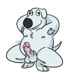  anthro armpit_hair ball_tuft balls bedroom_eyes body_hair brian_griffin canid canine canis chest_tuft crouching digital_media_(artwork) domestic_dog erection family_guy fur genitals hands_behind_head hi_res humanoid_genitalia humanoid_penis looking_at_viewer male mammal narrowed_eyes nipples nude penis presenting presenting_penis pubes satyrspitstain seductive simple_background smile solo solo_focus spread_legs spreading tuft vein veiny_penis white_body white_fur 