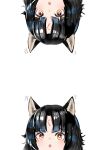  2girls :o absurdres animal_ears arknights bangs black_hair commentary dog_ears dual_persona facial_mark forehead_mark highres multiple_girls open_mouth orange_eyes saga_(arknights) simple_background upside-down wawamachi_(wawamachis) white_background 