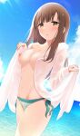  :o akisaka_yamoka bikini blue_sky blush breasts brown_hair cloud eyebrows_hidden_by_hair highres idolmaster idolmaster_cinderella_girls long_hair looking_at_viewer medium_breasts mizumoto_yukari nipples ocean sky swimsuit topless wet wet_clothes 