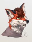  anthro canid canine forelock fox headshot hiccupby male mammal smile solo 