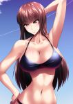  1girl arm_behind_back arm_up bangs bikini black_bikini black_eyes black_hair blue_sky blunt_bangs breasts clear_sky cleavage commentary contrail girls_und_panzer halterneck hand_on_hip highres large_breasts long_hair looking_at_viewer miraino_tsubasa navel nishizumi_shiho open_mouth sky smile solo standing straight_hair swimsuit upper_body 