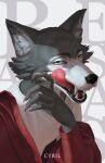  1boy absurdres artist_name beastars copyright_name cyril_(ssl-c) fangs from_above from_side furry furry_male grey_background hand_up highres jacket legoshi licking_lips looking_at_viewer male_focus off_shoulder open_mouth red_jacket saliva sideways_glance solo tongue tongue_out upper_body wiping_mouth wolf_boy yellow_eyes 
