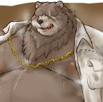  2022 anthro belly ben_(zenless_zone_zero) big_belly bodily_fluids brown_body brown_fur clothed clothing fur hi_res kemono kotobuki male mammal mihoyo moobs musk nipples obese obese_male open_clothing open_shirt open_topwear overweight overweight_male shirt solo sweat tongue tongue_out topwear ursid video_games zenless_zone_zero 