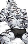  2022 absurd_res anthro arknights black_clothing black_underwear bulge butt chung0_0 clothed clothing eye_scar facial_scar felid fur hi_res hypergryph male mammal mountain_(arknights) muscular muscular_anthro muscular_male on_chest pantherine scar solo striped_body striped_fur stripes studio_montagne tiger topless topless_anthro topless_male underwear video_games 