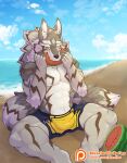  2022 abs anthro anubian_jackal beach canid canine canis clothed clothing digital_media_(artwork) domestic_dog eating eating_food fluffy fluffy_tail food fruit fur hi_res inner_ear_fluff jackal lerchief2007 lifewonders male mammal melon muscular muscular_anthro muscular_male navel neck_tuft nude outside pecs plant sand seaside seth_(tas) simple_background sky smile solo striped_body striped_fur stripes swimwear tokyo_afterschool_summoners tuft video_games water watermelon 