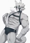  ... 2022 absurd_res anthro canid canine canis clothing fur harness hi_res male mammal mihoyo muscular muscular_anthro one_eye_obstructed rabbitdx26 simple_background solo underwear undressing von_lycaon white_background white_body white_fur wolf zenless_zone_zero 