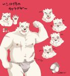  2022 absurd_res anthro asian_clothing balls blush censored clothing east_asian_clothing flaccid fundoshi genitals hi_res humanoid_genitalia humanoid_hands humanoid_penis japanese_clothing japanese_text kemono male mammal model_sheet moobs navel overweight overweight_male penis pubes qdng0atngbaqmce red_background scar simple_background solo text underwear ursid 