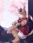  2019 anthro bottomwear clothing deity felid feline fur green_eyes hi_res hoodie leopard_cat male mammal nekojishi nekojita plant prionailurus red_clothing red_hoodie red_topwear shorts shu-chi sitting smile solo spring striped_body striped_fur stripes studio_klondike topwear tree video_games visual_novel white_bottomwear white_clothing white_shorts young 