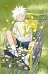  1boy absurdres bangs blue_shorts closed_eyes daisy flower grass highres hunter_x_hunter killua_zoldyck long_sleeves male_focus outdoors parted_lips shorts sitting sleeping sleeping_upright socks solo spiked_hair sweater tulip white_flower white_footwear white_hair white_socks white_sweater yellow_flower yuhuan 