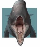  ambiguous_gender cetacean feral front_view glistening glistening_tongue imperatorcaesar mammal marine mouth_shot narrowed_eyes open_mouth pink_tongue signature simple_background solo tan_teeth tongue 