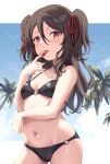  1girl amerika_juu_pan bikini black_bikini black_hair blue_sky breasts cloud commentary_request contrapposto food fruit highres long_hair o-ring o-ring_bikini original palm_tree red_eyes sky small_breasts solo standing strawberry swimsuit tree two_side_up 