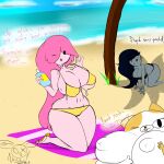  absurd_res adventure_time anthro beach big_(disambiguation) big_breasts bikini breasts bubble_gum cake_the_cat cartoon_network cleavage clothed clothing domestic_cat felid feline felis female female/female group hi_res humanoid mammal marceline_abadeer melting nailstrabbit nipples princess_bubblegum seaside swimwear trio vampire wide_hips 