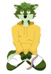  anthro bottomwear canid canine canis clothing fur green_body green_eyes green_fur green_hair hair hi_res hoodie kneeling male mammal rainbow_pride_colors shorts solo topwear wolf 