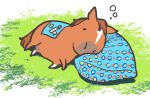  admire_japan_(racehorse) commentary grass horse lying no_humans on_side outdoors pillow real_life sleeping tagme takatsuki_nato yogibo 