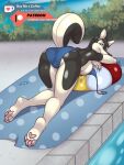  2019 3:4 4_toes animate_inanimate anthro bikini biped black_body blue_clothing blue_eyes blue_panties blue_underwear bra bra_down breasts bulge butt canid canine canis clothed clothing detailed_background digital_media_(artwork) domestic_dog eyelashes feet female husky inflatable inktiger looking_at_viewer lying mammal mostly_nude nordic_sled_dog outside panties partially_clothed pawpads paws presenting raised_tail solo spitz swimming_pool swimwear text toes underwear url water white_body 