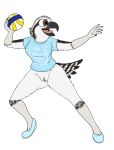  accipitriform anthro avian ball beach_ball bird bottomless bottomless_female clothed clothing female fish_birb footwear hi_res inflatable lizzy_(fish_birb) osprey public public_nudity sandals shirt solo t-shirt topwear 