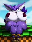  2022 anthro big_breasts big_the_cat breasts clothing crossgender digital_media_(artwork) domestic_cat felid feline felis female footwear front_view hi_res huge_breasts looking_at_viewer mammal mtf_crossgender outside sega sitting smile solo sonic_the_hedgehog_(series) suirano 