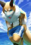  absurd_res anthro black_body black_ears black_fur blep blue_bottomwear blue_clothing blue_eyes blue_inner_ear blue_nose blue_pants blue_sky bottomwear chest_tuft clothing cloud front_view fur hi_res inner_ear_fluff looking_at_viewer male neck_tuft orange_body orange_fur orange_tail pants red_tongue shoulder_tuft sky solo t.y.stars tongue tongue_out tuft undressing water white_body white_fur white_inner_ear_fluff white_tail 