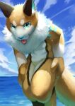  absurd_res anthro black_body black_ears black_fur blep blue_eyes blue_inner_ear blue_nose blue_sky chest_tuft cloud featureless_crotch front_view fur hi_res inner_ear_fluff looking_at_viewer male neck_tuft orange_body orange_fur orange_tail red_tongue shoulder_tuft sky solo t.y.stars tongue tongue_out tuft water white_body white_fur white_inner_ear_fluff white_tail 