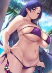  1girl armpits bangs bare_shoulders bikini blush breasts cameltoe collarbone fate/grand_order fate_(series) highres huge_breasts long_hair looking_at_viewer low-tied_long_hair minamoto_no_raikou_(fate) moisture_(chichi) navel ocean panties parted_bangs purple_eyes purple_hair side-tie_panties solo swimsuit thick_thighs thighs tree underwear very_long_hair wet 