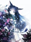  1girl animal_ears bangs black_hair blue_eyes blunt_bangs camellia dress flower frown highres koa_tcbs long_hair looking_at_viewer off-shoulder_dress off_shoulder original paw_pose peeking_out snowing solo sweater tail tassel very_long_hair wide_sleeves 