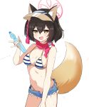  1girl animal_ear_fluff animal_ears arms_behind_back bikini blue_archive blue_bikini blush bottle breasts brown_eyes brown_hair cleavage flower fox_ears fox_girl fox_tail grey_background hair_flower hair_ornament halo highres izuna_(blue_archive) izuna_(swimsuit)_(blue_archive) nanju_bami navel short_hair simple_background solo striped striped_bikini sunflower swimsuit tail telebono1 thigh_gap thighs visor_cap water_bottle 