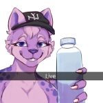  anthro bottle cheek_tuft clothing colored_nails eyebrows eyelashes facial_tuft female hair hat headgear headwear hi_res hyaenid mammal meme nails paul_0w0 solo solo_focus spotted_hyena teeth teeth_visible tuft water 