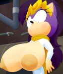  absurd_res anthro big_breasts blush breasts clothing crown dress eulipotyphlan female hedgehog hi_res huge_breasts jiggling mammal nipples pipe queen_aleena_hedgehog sega slickehedge solo sonic_the_hedgehog_(series) sonic_underground tiara wardrobe_malfunction 