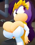  absurd_res anthro areola areola_slip big_breasts breasts clothing crown dress eulipotyphlan female hedgehog hi_res huge_breasts jiggling mammal pipe queen_aleena_hedgehog sega slickehedge solo sonic_the_hedgehog_(series) sonic_underground tiara 