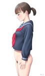  1girl bangs bottomless breasts brown_hair highres long_sleeves neckerchief original profile pubic_hair red_neckerchief school_uniform serafuku short_ponytail small_breasts solo standing yurashima 