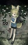  1girl :| alternate_costume animal_ear_fluff animal_ears bare_arms bare_legs black_eyes black_footwear black_shorts blonde_hair closed_mouth commentary_request extra_ears fennec_(kemono_friends) flower fox_ears fox_girl fox_tail full_body highres kemono_friends medium_hair nanana_(nanana_iz) outdoors pantyhose shoes shorts solo tail wall watering_can white_pantyhose 